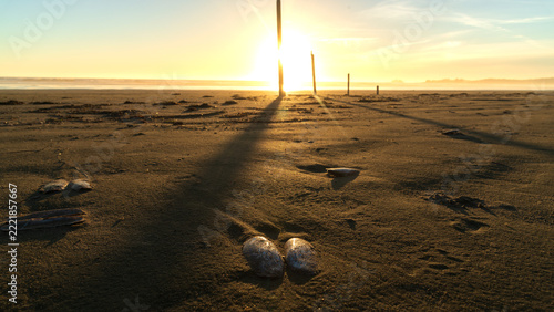 sunset at the beach