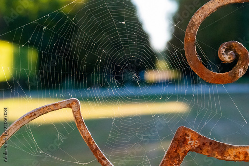 Spinnennetz an einem alten, verosteten Ornament am Geländer