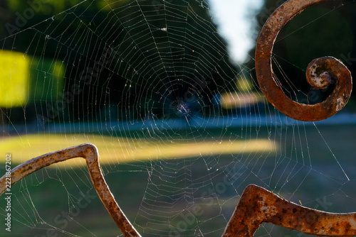 Spinnennetz an einem alten, verosteten Ornament am Geländer