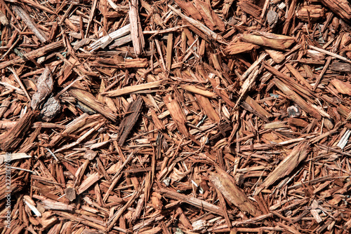Obraz na plátně Background of natural wood shavings