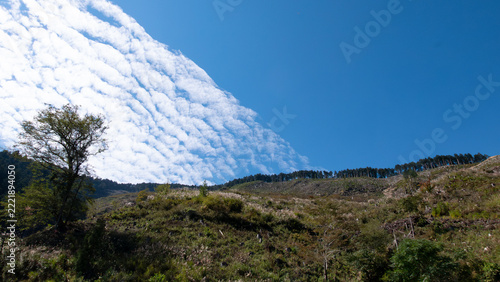 鱗雲が彩る丘の風景、果てしない空に広がる秋の絶景