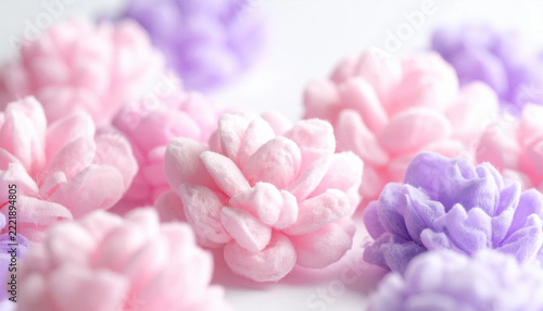 Pink and purple hyacinth flower cluster with soft pastel petals creating gentle spring floral background and delicate romantic atmosphere