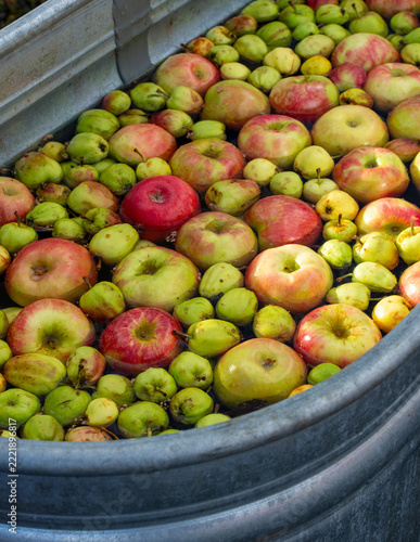 water tank filled with apples