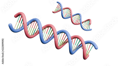 3D Render of colorful DNA double helix models on a white background