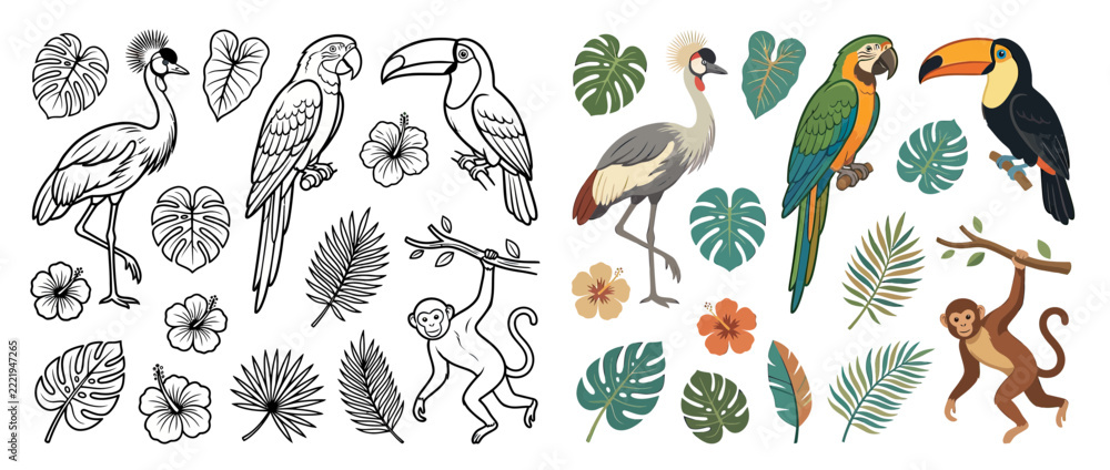 Fototapeta premium Tropical Jungle Animals and Plants Collection, Isolated