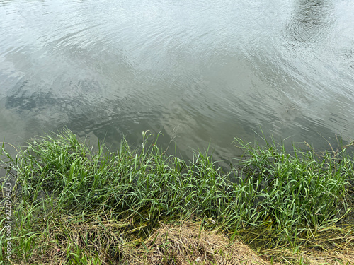 the river in the forest.