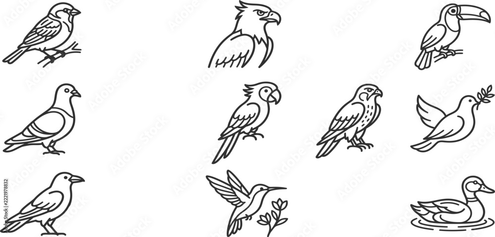 Fototapeta premium Educational bird illustration set for children learning and nature