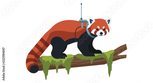 Red Panda with Wildlife Tracking Collar and Antenna Illustration on White Background - Conservation and Scientific Research Concept