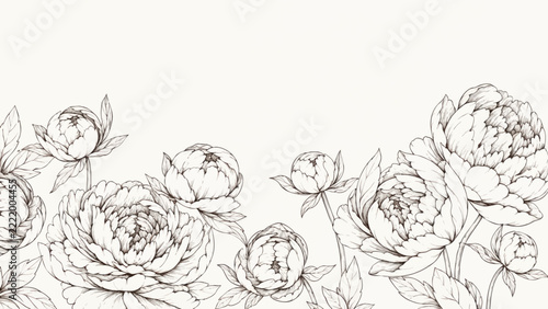 Vintage Peony Flower Botanical Line Art Background with Copy Space