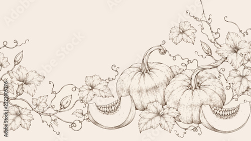Vintage Pumpkin Botanical Border Background with Autumn Leaves and Vines