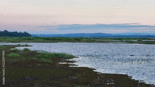 Landscape of meadow and river at sunset. Nature composition.