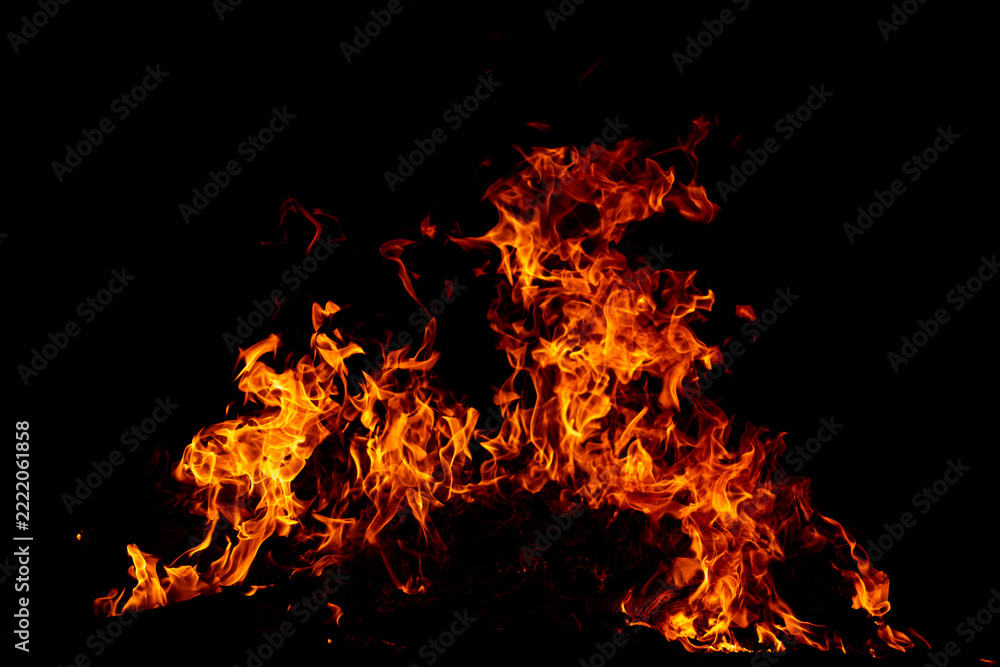 Fotografie Rising fire flames burn intensely