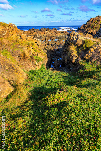 Coutta Rocks, Tarkine, Tasmania, Australia