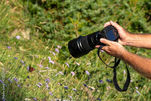 Wildlife photographer using telephoto lens capturing a peacock butterfly on wildflowers