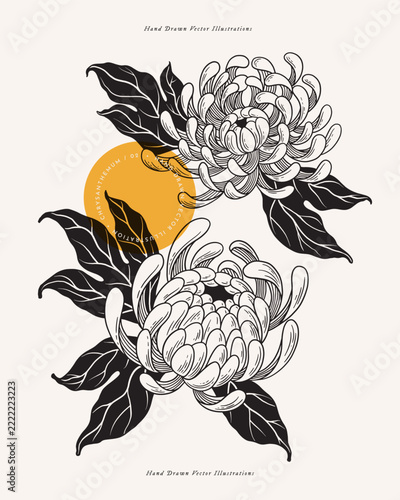 Two opened buds of white chrysanthemum on a light background. Tattoo sketch. Garden flowers, vector illustration. Botanical illustration for floral design of invitations, cards.