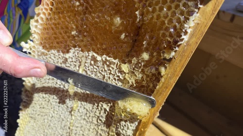 Close-up of hand using knife to uncap honeycomb frame, extracting fresh golden honey dripping from hexagonal cells of beeswax, bright sunlight illuminating natural sweet product.