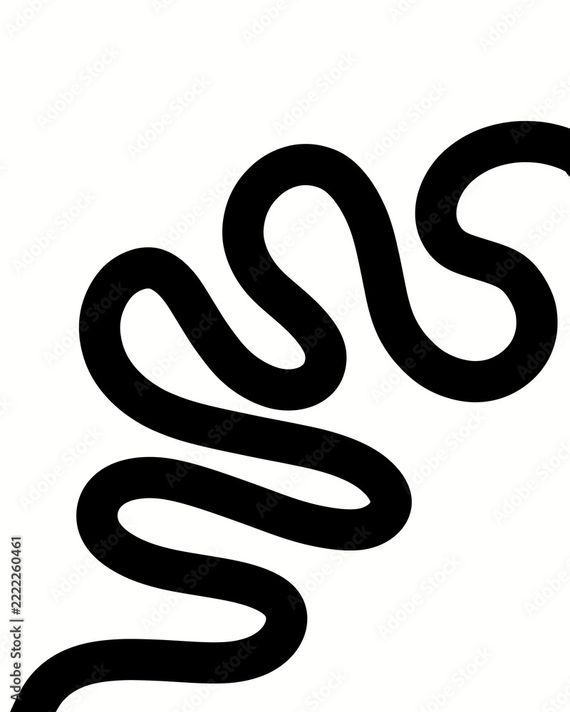 Fototapeta premium Black Line Abstract Wavy Curve for Graphic Design