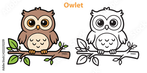 Cute owlet sitting on a tree branch vector illustration for kids