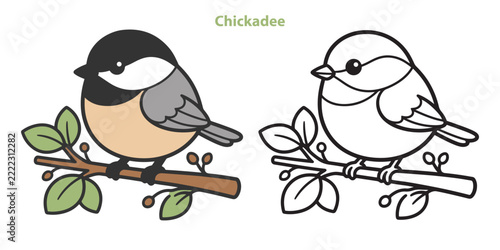 Cute chickadee bird vector illustration with colored and outline