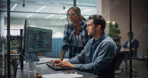 Portrait of South Asian Female Project Manager Talking With Caucasian Male Software Developer Working Using a Computer With Big Screen Displaying Programming Code During a Meeting in a Modern Office