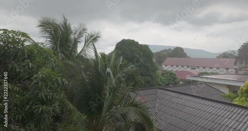 Lush palm trees sway in the wind in the foreground, overlooking a neighborhood with roofed buildings under a heavy, grey rain filled sky during a rainfall