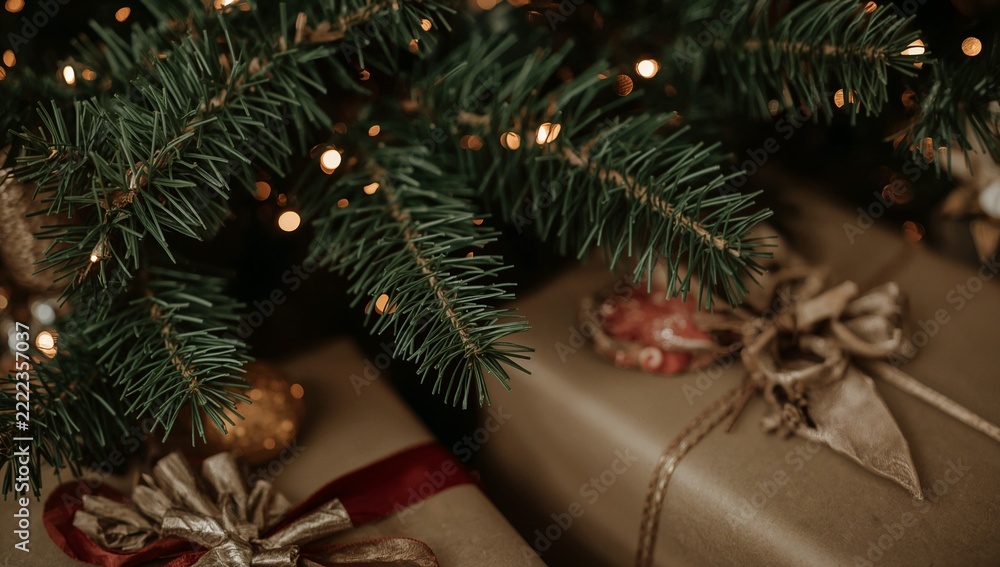 Fototapeta premium Two wrapped gifts under a Christmas tree