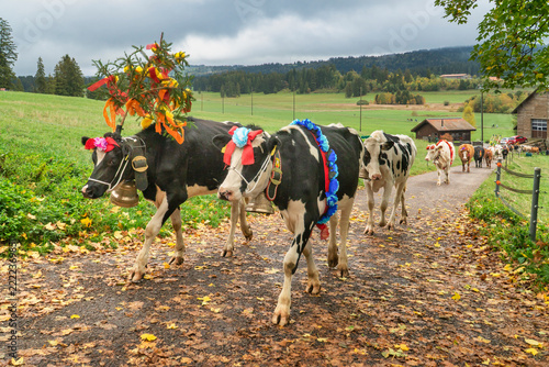Combe de la Biche, Boéchet, Switzerland, French-speaking Switzerland, farm women, traditional costumes, parade, Alpine descent, Jura, Swiss Jura, livestock drive