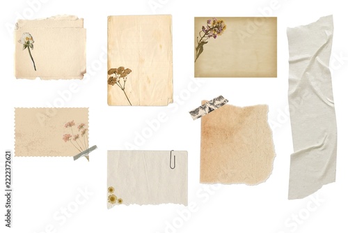 Vintage Beige Paper Scrapbook Elements with Dried Flowers, Torn Edges, Botanical Decorations and Blank Aged Paper Textures