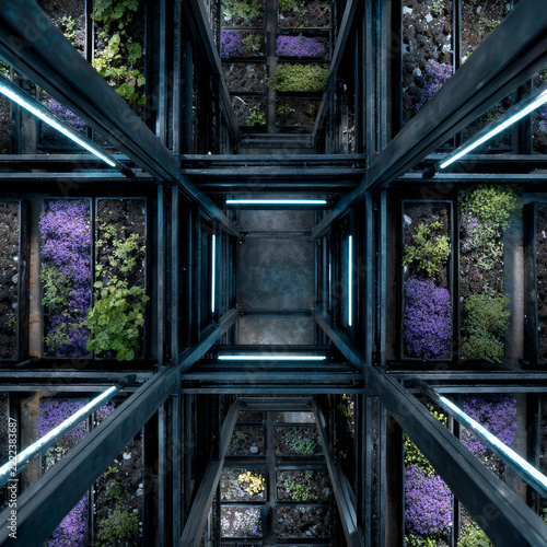 Vertical indoor farm with steel frame structure, blue light tubes and microgreens cultivation trays