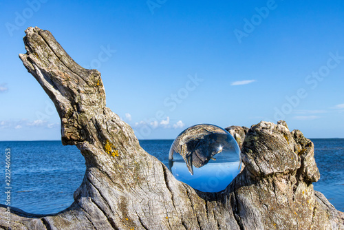 Holz und Glas