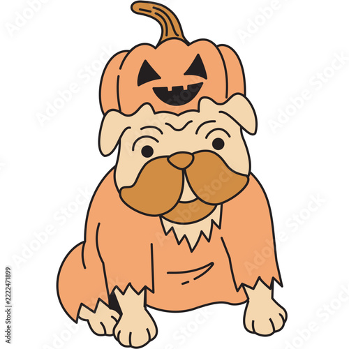 Bulldog with Jack O'lantern head