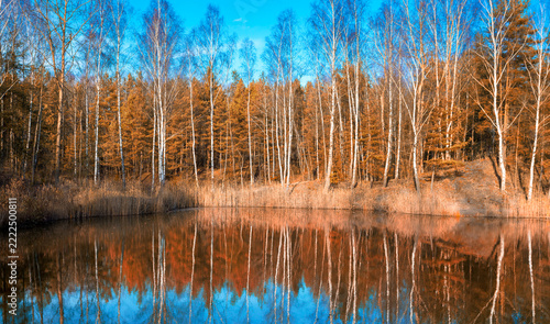 The shore of a colorful autumn lake