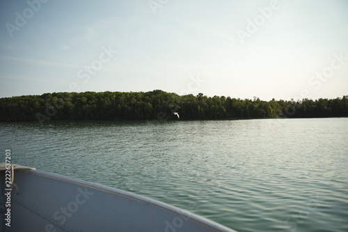 A seagull flying over Batchewana Bay in Ontario, Canada.