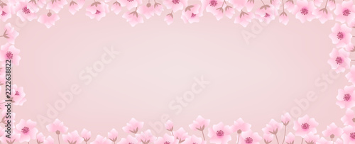 Pink Sakura Flowers Border Isolated White Background