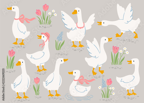 Cute white lawn Goose vector illustration set, cute farm birds with pink ribbons and spring flowers, tulips on grey background