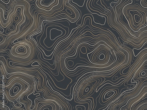 Abstract Topographic Map Contour Pattern on Dark Background
