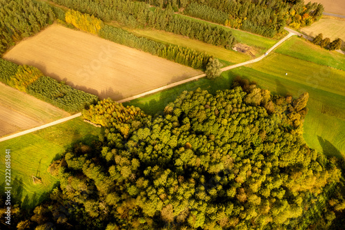 Aerial view of a forest patch surrounded by agricultural fields and dirt roads