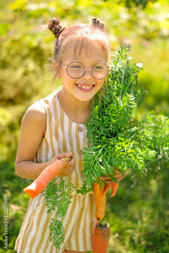 A funny girl in glasses picked fresh carrots from the vegetable garden. Healthy food rich in vitamins and minerals. Autumn harvest.