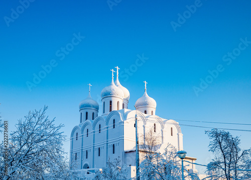 Snow-capped trees frame a grand white cathedral