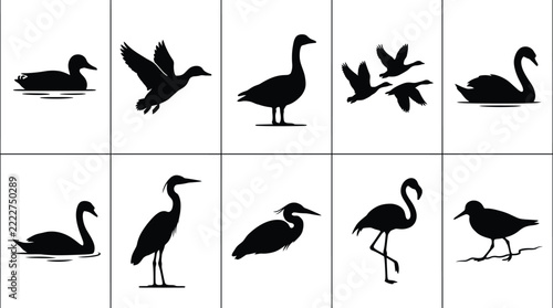 Waterbird Silhouette Collection, Swimming Duck, Flying Duck, Standing Goose, Flock of Flying Geese, Curved-Neck Swan, Gliding Swan, Elegant Heron and Flamingo, Vector Design and Illustration