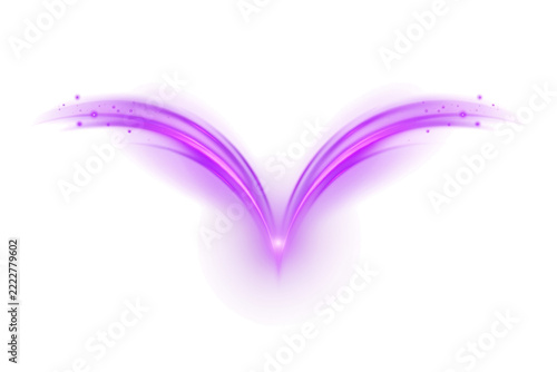 Abstract purple fractal shape with glowing light center and curved wing-like extensions on a transparent background, for digital projects isolated on a transparent background