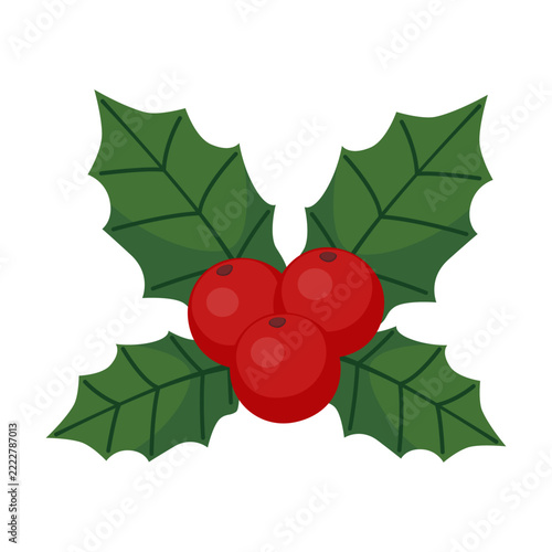 Christmas holly berry branch with green leaves isolated on white background. Vector illustration.