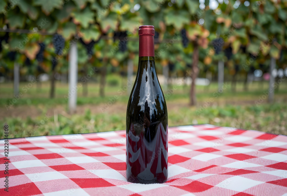 Fototapeta premium Wine tourism and viticulture, red wine bottle on a checkered picnic blanket in a vineyard for summer travel, leisure, and luxury lifestyle marketing