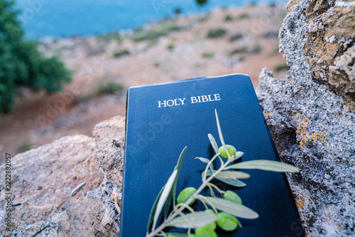 Holy Bible with Olive Branch on Rock Overlooking the Calm Sea
