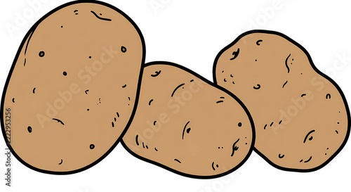 Group of three fresh unpeeled brown potatoes isolated on white background, root vegetable illustration.