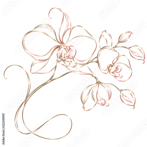 Delicate orchid branch with pale pink and gold watercolor effect on white background