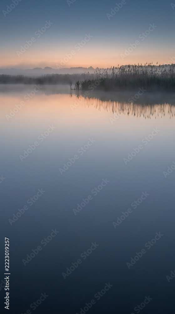Fototapeta premium Distant reeds and thin fog over still blue water at pre-dawn with clean space below