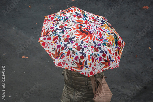 A woman walks under an umbrella on the sidewalk on an autumn day