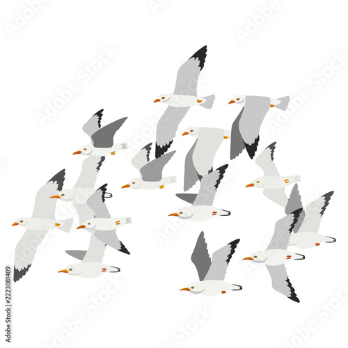 vector drawing flying birds, flock of seagulls, hand drawn illustration, isolated nature design elements