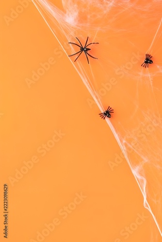 Halloween Creative 